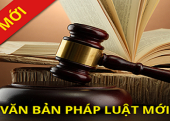 Văn bản pháp luật mới
