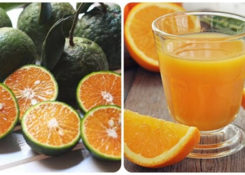 Uống nước cam nhiều có tốt cho sức khoẻ?