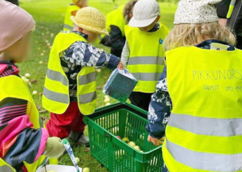 Những bài học từ giáo dục Phần Lan