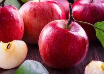 5 siêu thực phẩm tốt cho thận bạn nên ăn hàng ngày